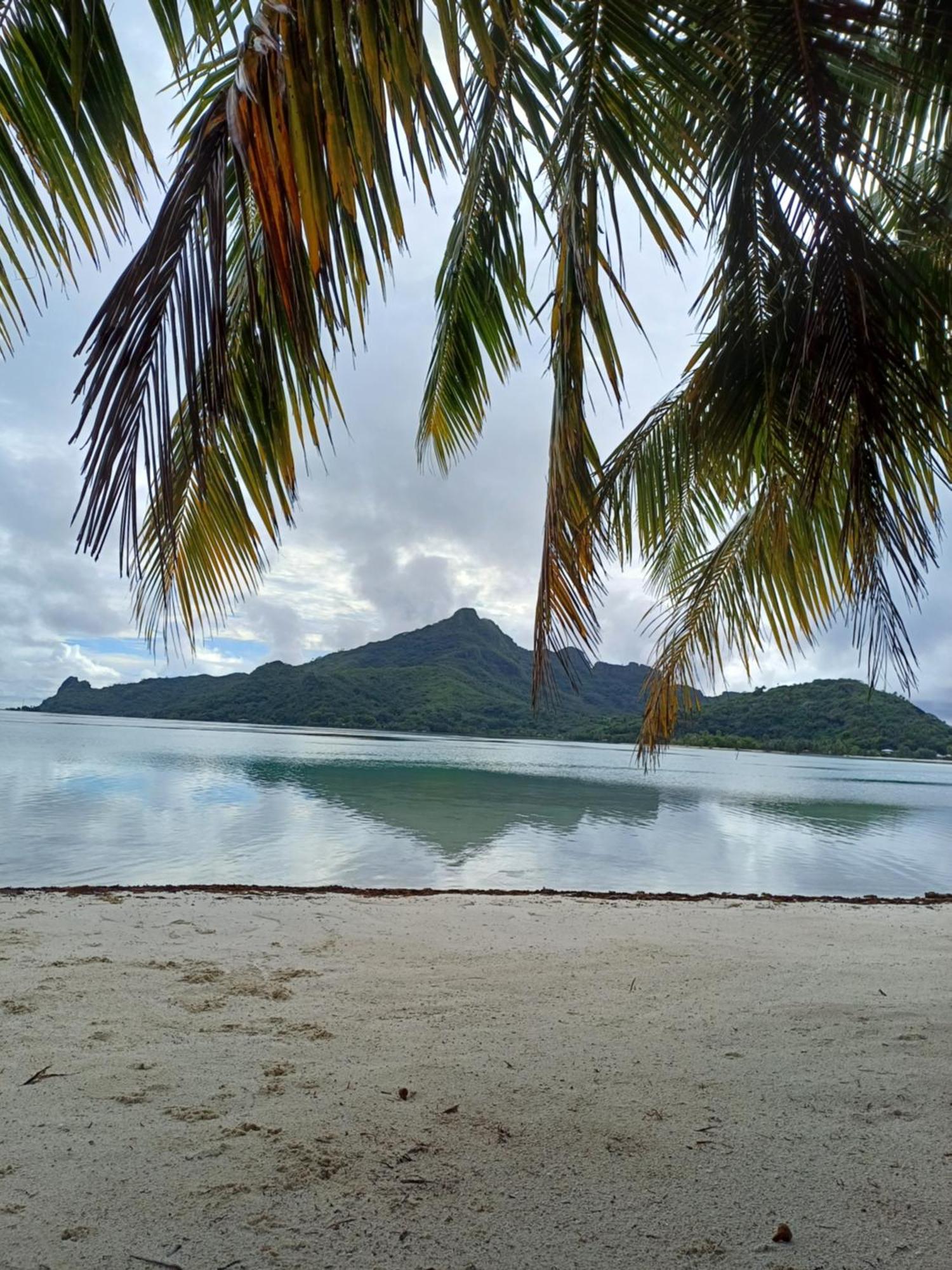 Poemanahere Island Camping A Maupiti Te-Fare-Arii Eksteriør bilde