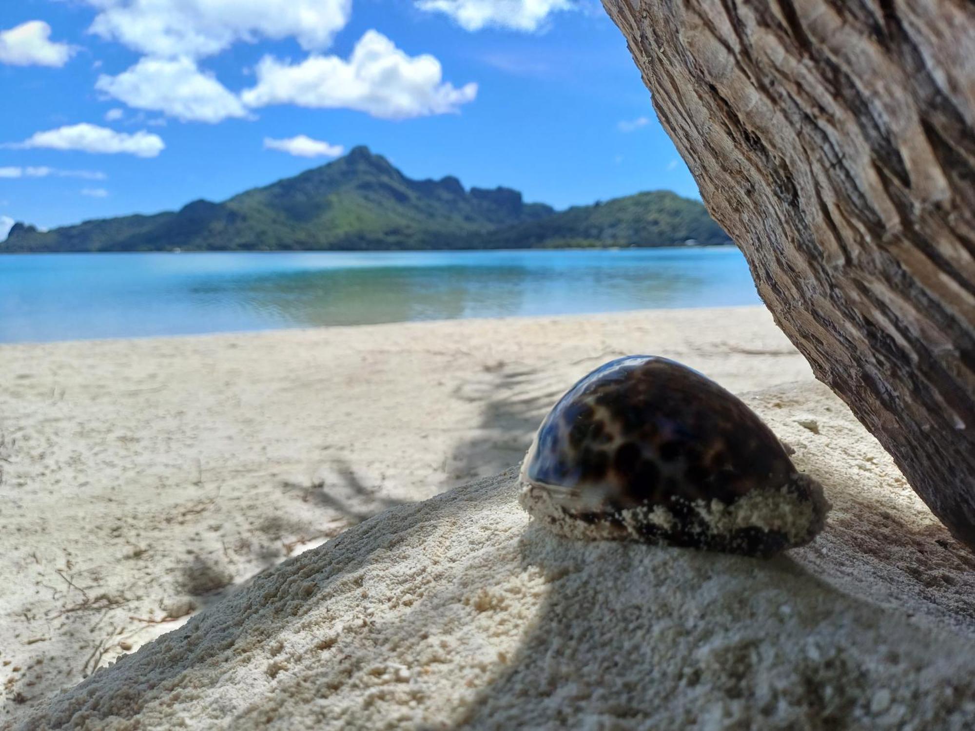 Poemanahere Island Camping A Maupiti Te-Fare-Arii Eksteriør bilde
