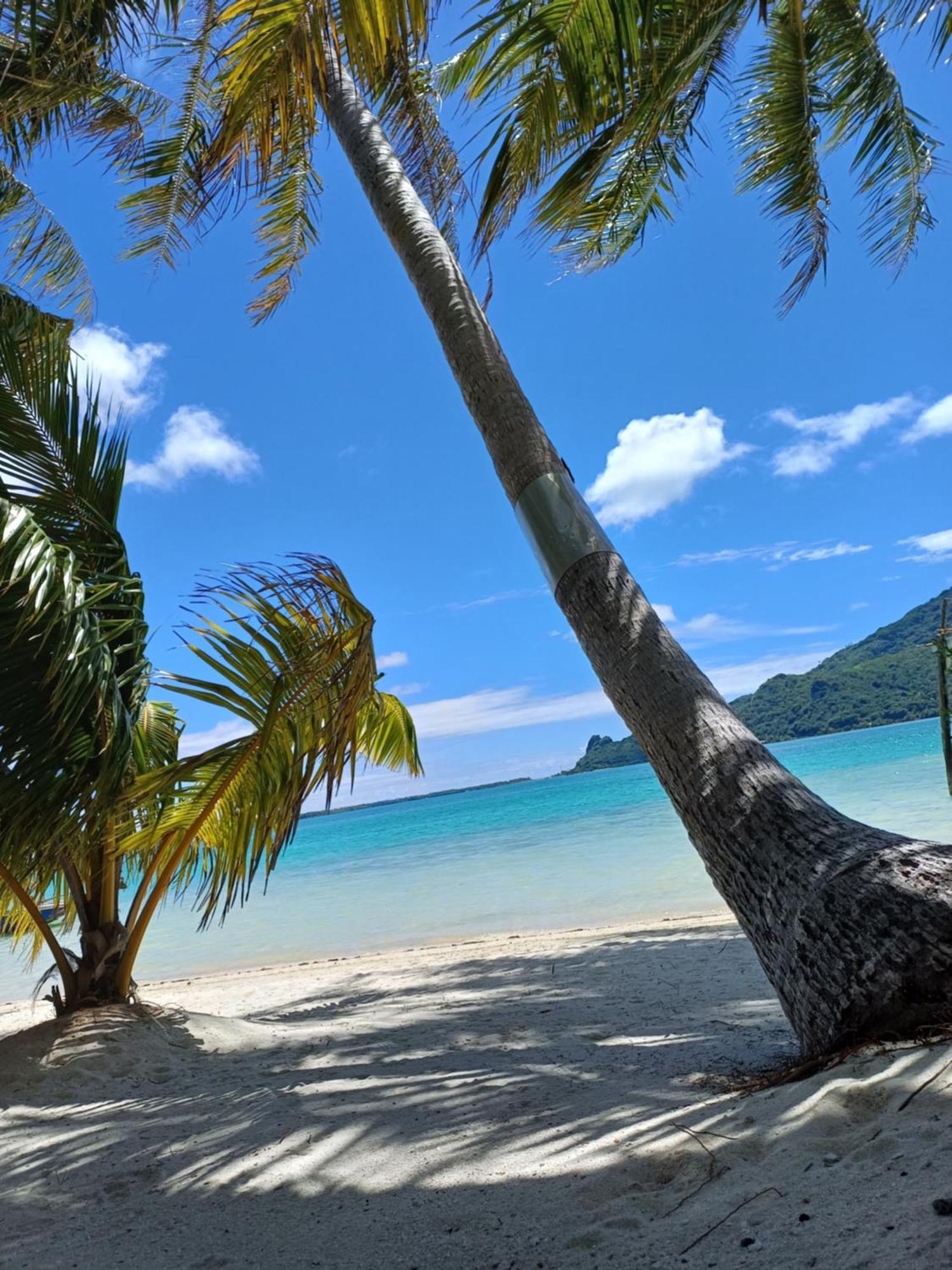 Poemanahere Island Camping A Maupiti Te-Fare-Arii Eksteriør bilde