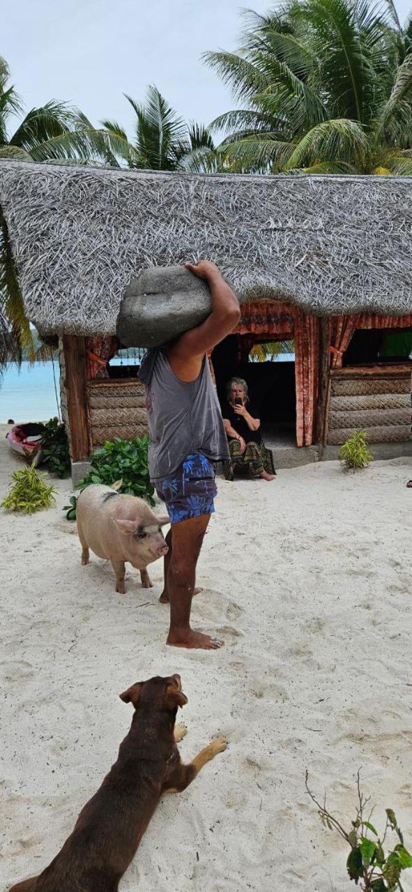 Poemanahere Island Camping A Maupiti Te-Fare-Arii Eksteriør bilde