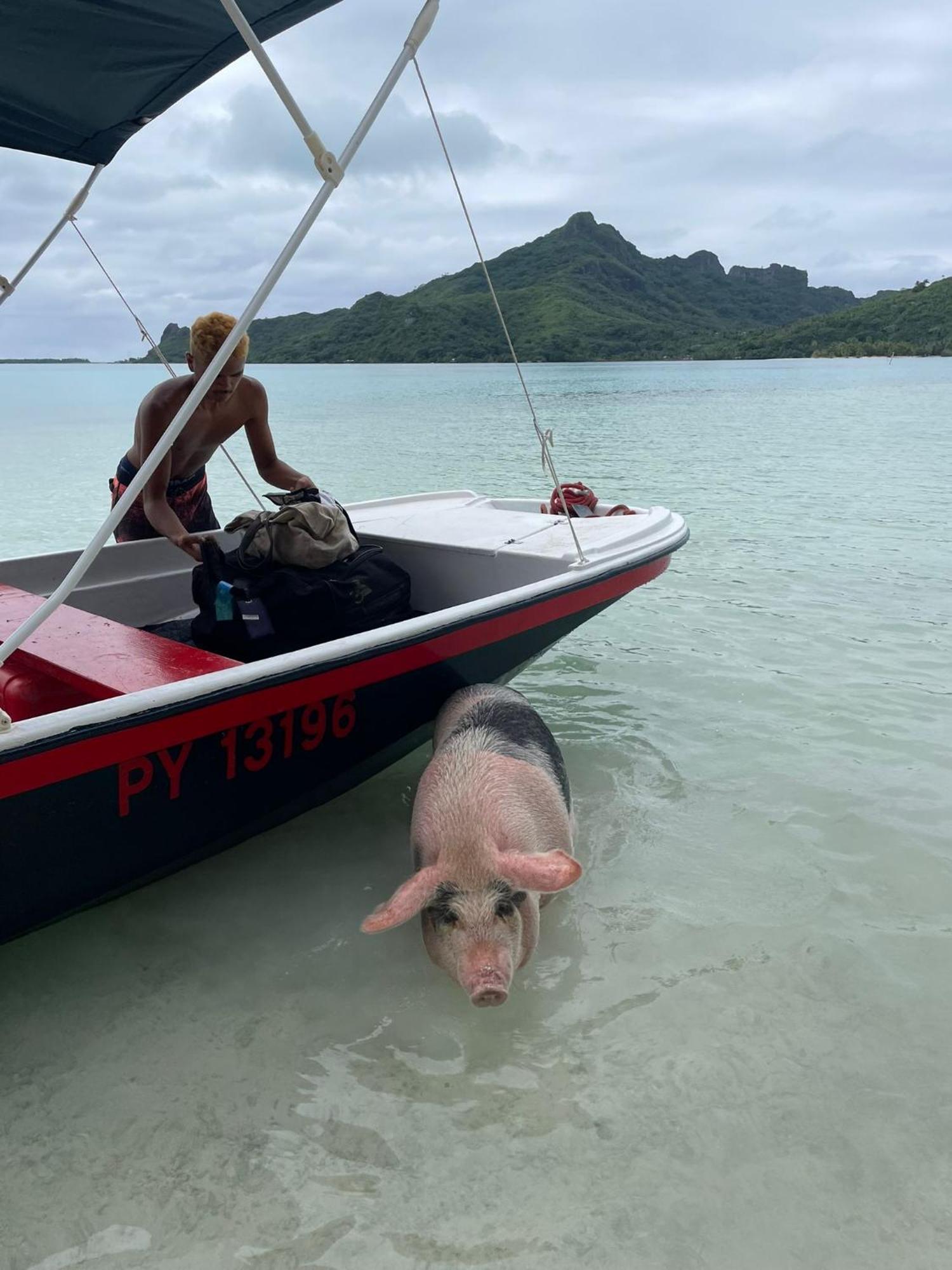 Poemanahere Island Camping A Maupiti Te-Fare-Arii Eksteriør bilde