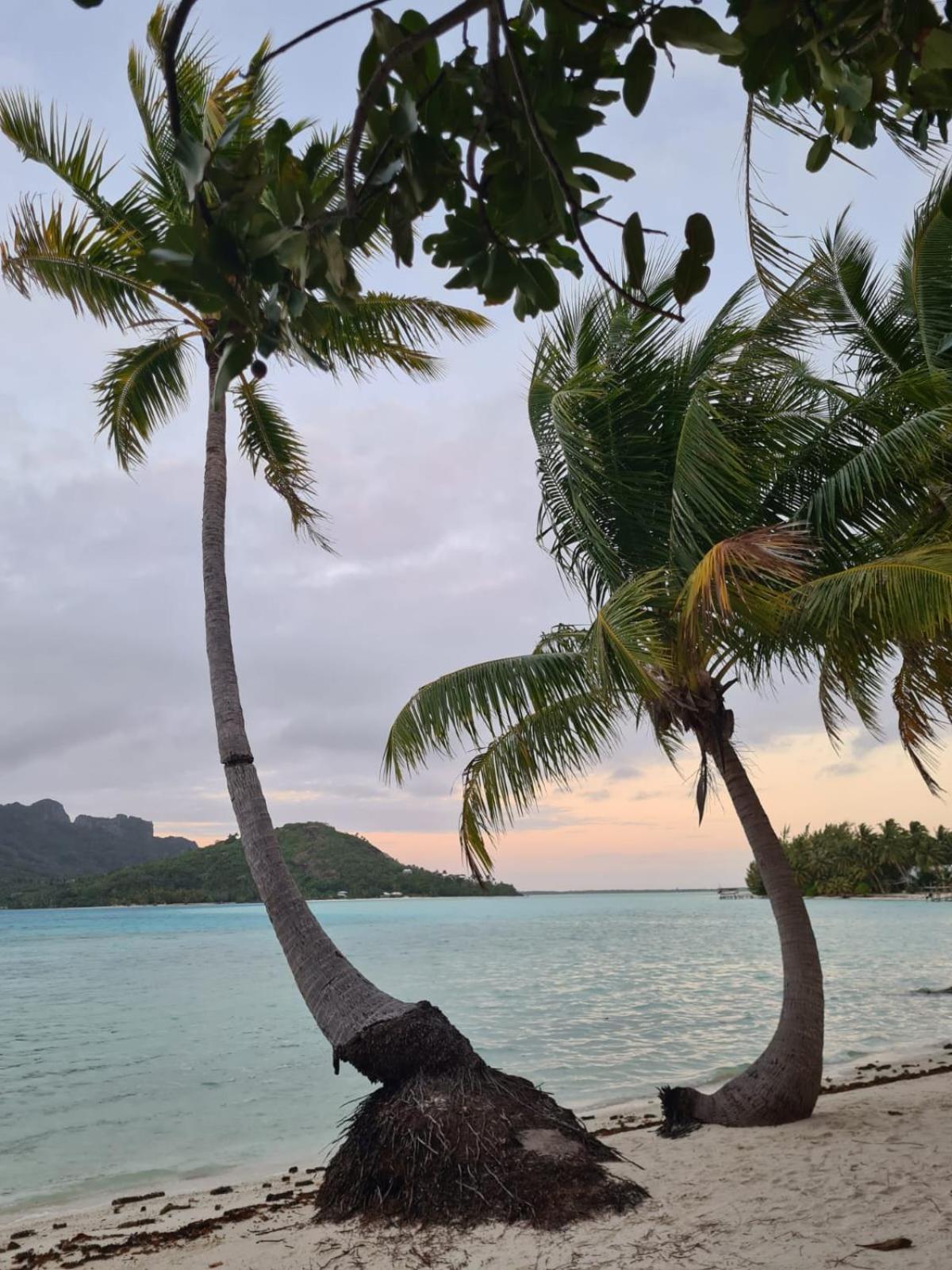 Poemanahere Island Camping A Maupiti Te-Fare-Arii Eksteriør bilde