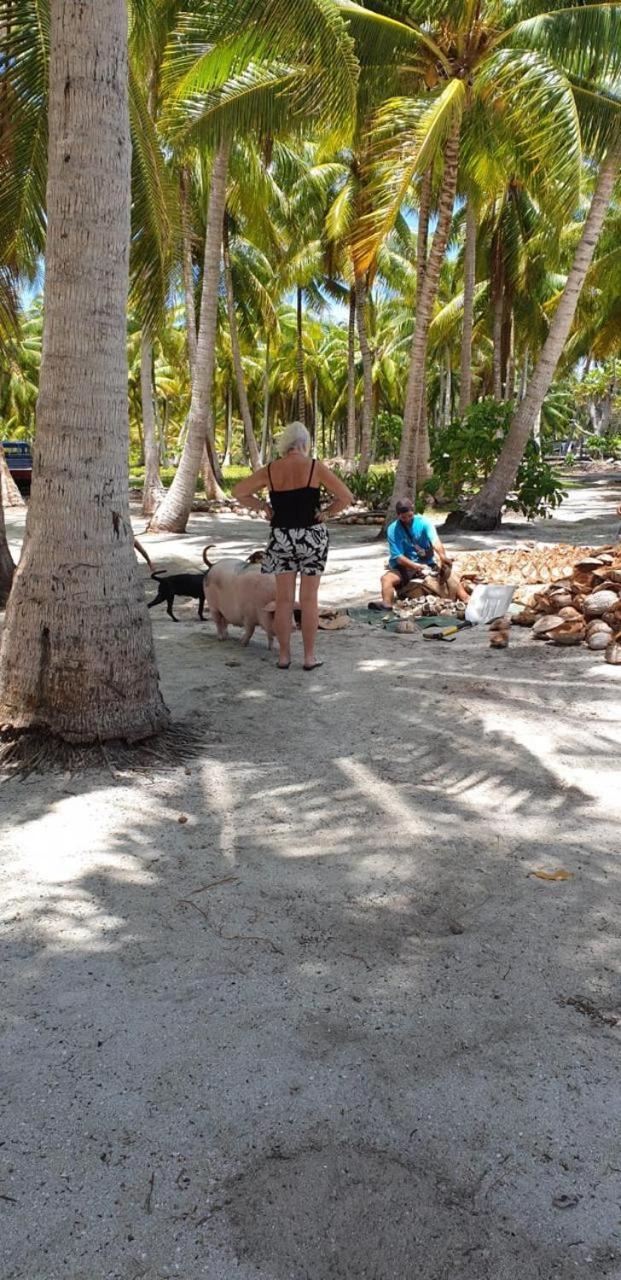Poemanahere Island Camping A Maupiti Te-Fare-Arii Eksteriør bilde