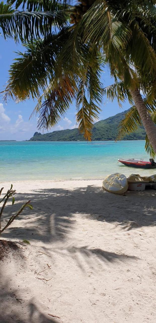 Poemanahere Island Camping A Maupiti Te-Fare-Arii Eksteriør bilde